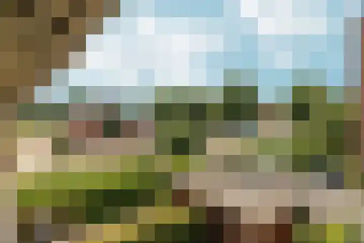 Anfieldroad 111 Amsterdam thumbnail 35