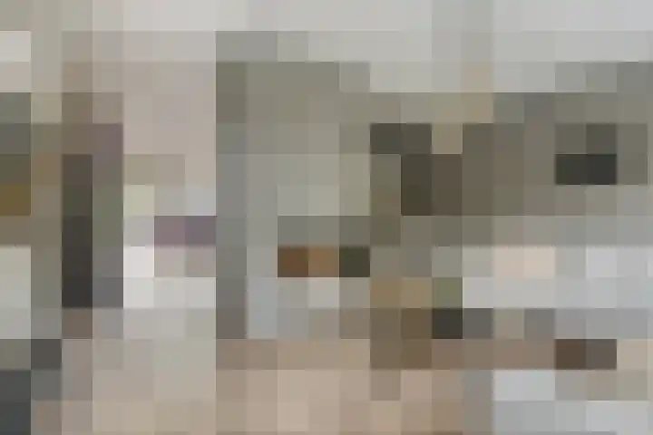 Angel 27 Oud Gastel thumbnail 12