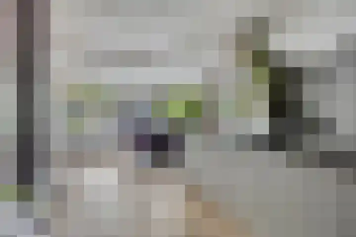 Angel 27 Oud Gastel thumbnail 15