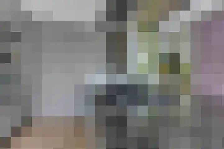 Angel 27 Oud Gastel thumbnail 19