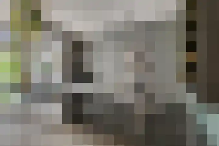 Angel 27 Oud Gastel thumbnail 21