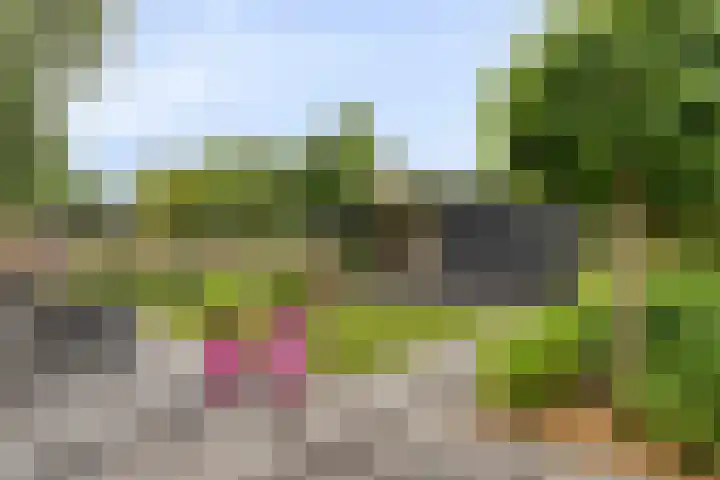 Angel 27 Oud Gastel thumbnail 35