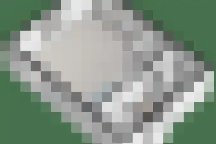 Angeroyen 10 Loo Gld thumbnail 11
