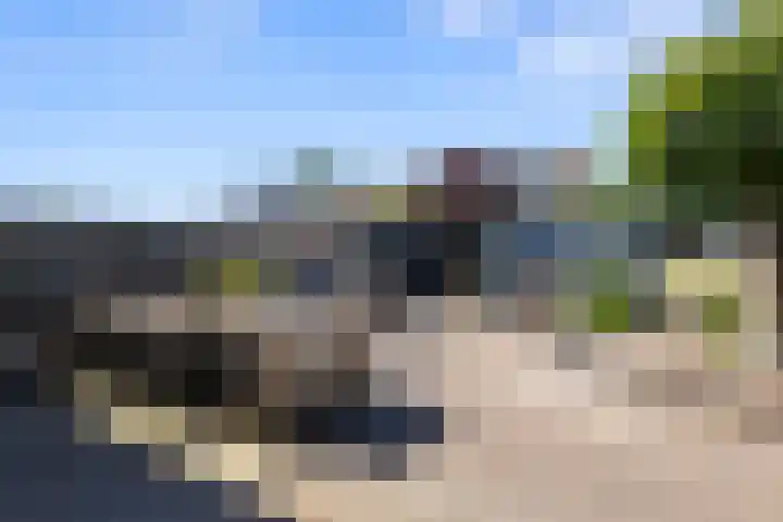 Angeroyen 10 Loo Gld foto 3