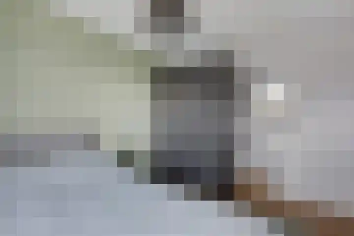 Angeroyen 6 Loo Gld thumbnail 28