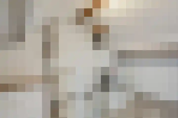 Angeroyen 6 Loo Gld thumbnail 35