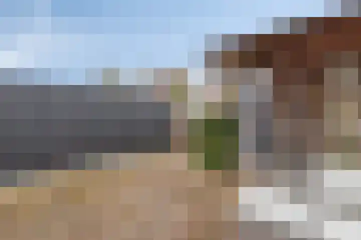 Angeroyen 6 Loo Gld thumbnail 41