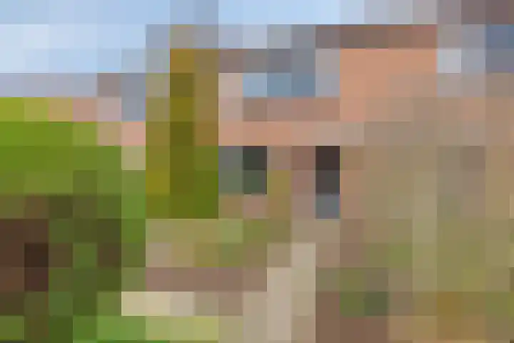 Angeroyen 6 Loo Gld thumbnail 7