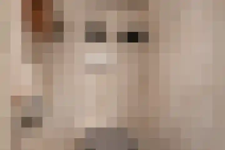 Angeroyen 7 Loo Gld thumbnail 10
