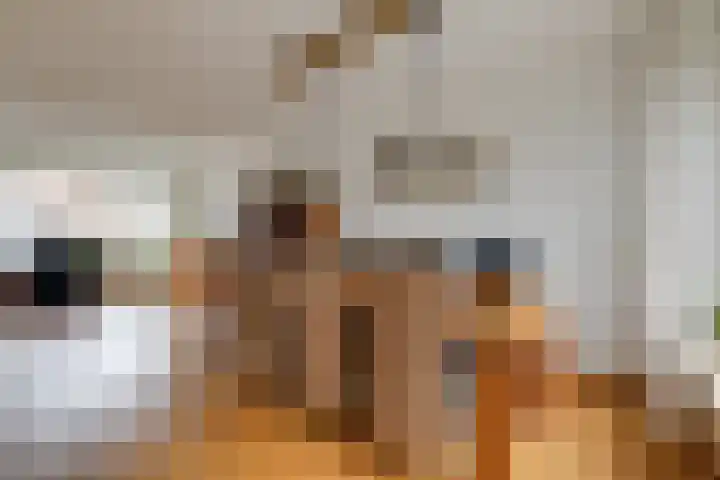 Angeroyen 7 Loo Gld thumbnail 17