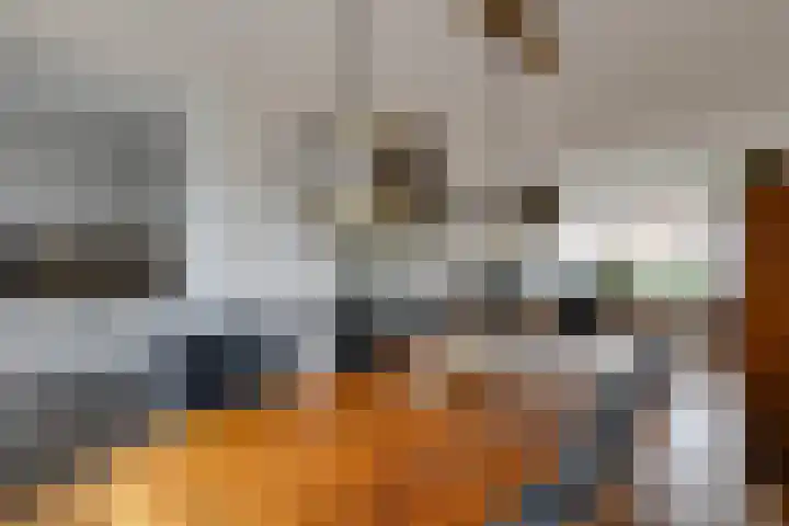 Angeroyen 7 Loo Gld thumbnail 18