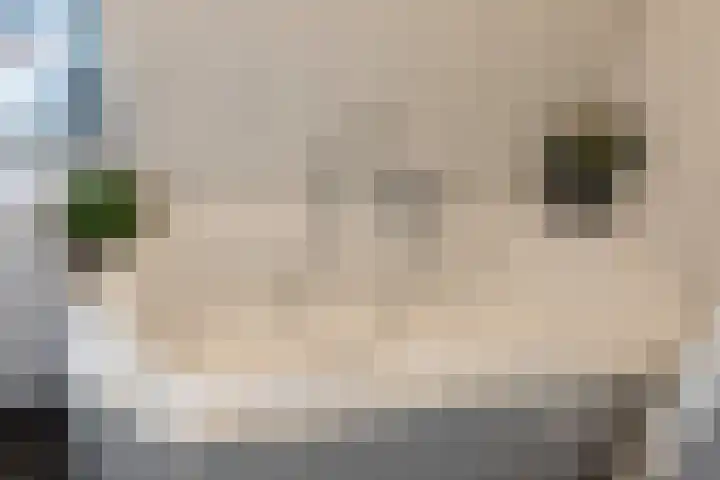 Angeroyen 7 Loo Gld thumbnail 38