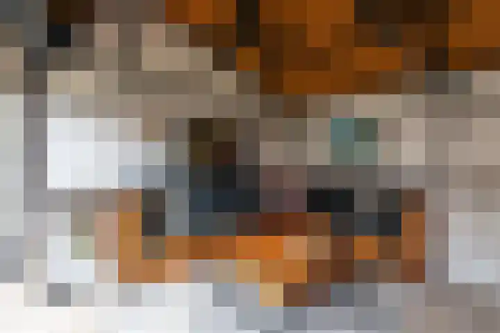 Angeroyen 7 Loo Gld thumbnail 55