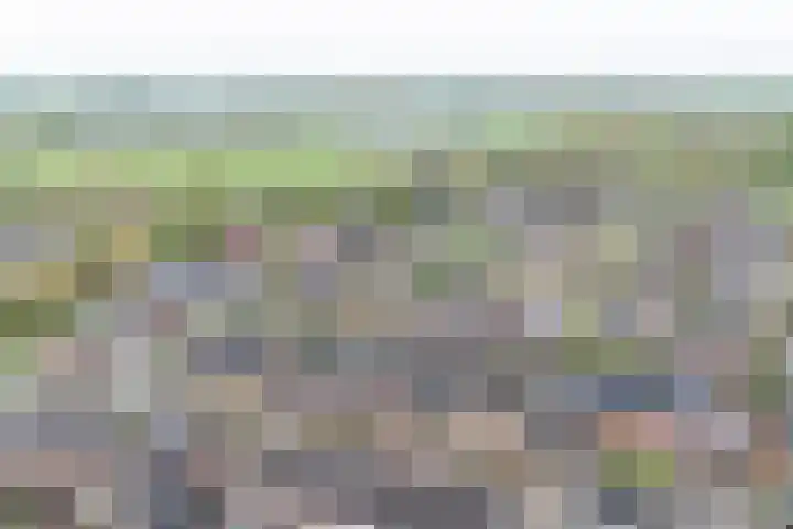 Angeroyen 7 Loo Gld thumbnail 61