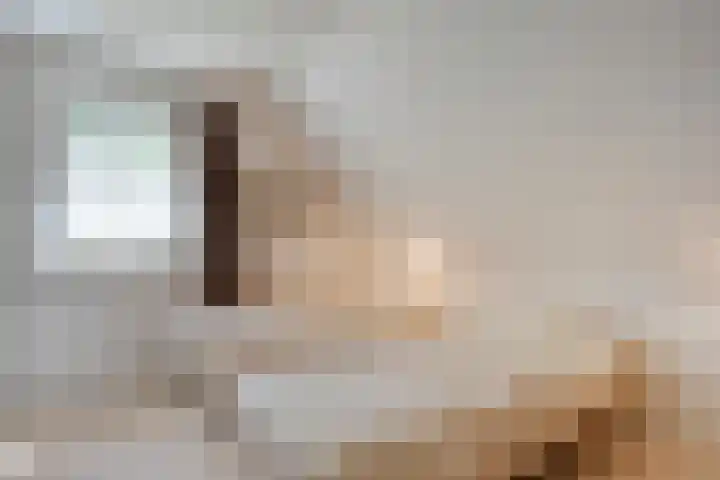 Anholt 3 Ruinen thumbnail 33