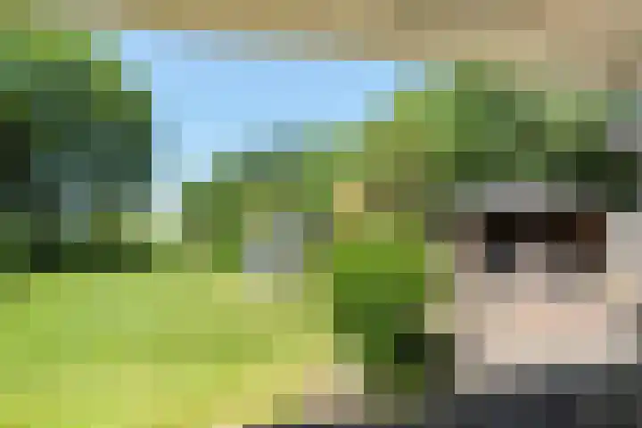 Anholt 3 Ruinen thumbnail 44