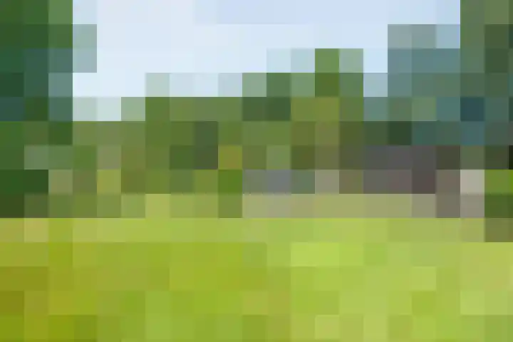 Anholt 3 Ruinen thumbnail 53