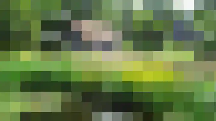 Anholt 3 Ruinen thumbnail 57