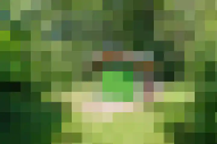 Anholt 3 Ruinen thumbnail 66