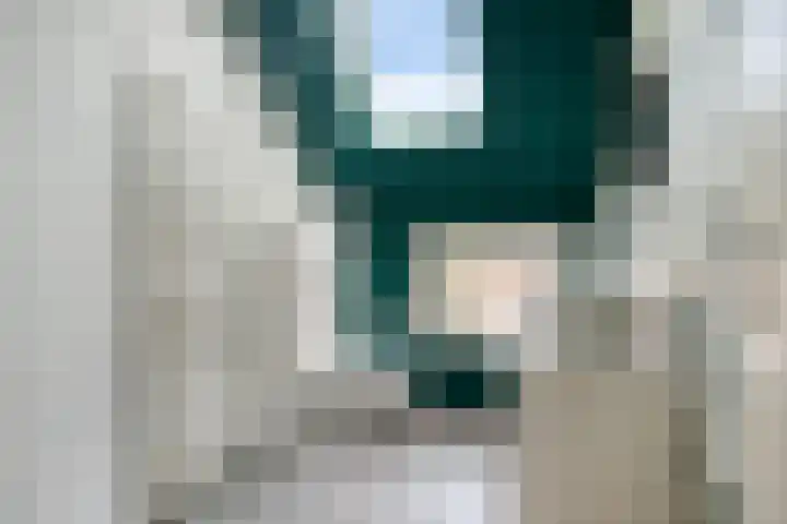 Anjelierstraat 2 Breda thumbnail 18