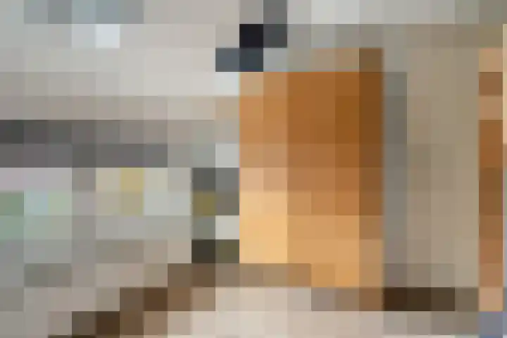 Anjelierstraat 2 Breda thumbnail 24
