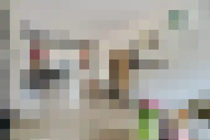 Anjelierstraat 2 Breda thumbnail 4