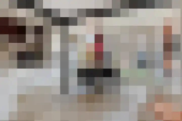Anjelierstraat 2 Breda thumbnail 6
