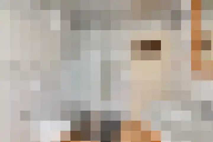 Anjerhof 3 Lopik thumbnail 16