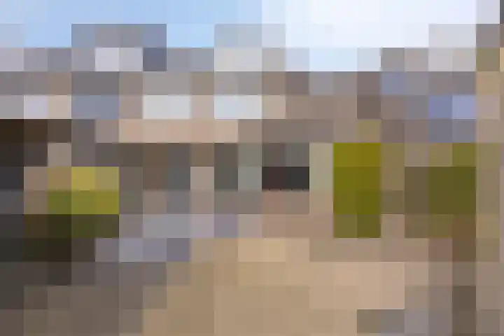 Anjerhof 3 Lopik foto 2