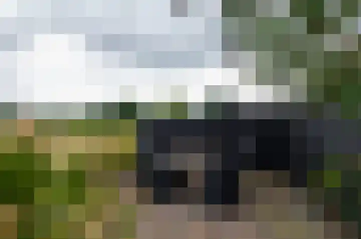Anjerhof 3 Lopik thumbnail 23