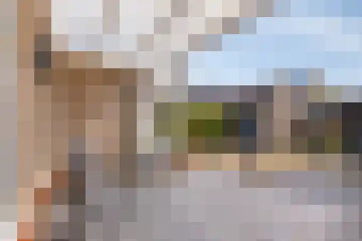 Anjerhof 3 Lopik thumbnail 29