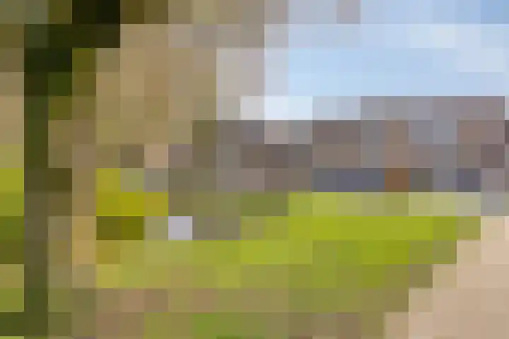 Anjerhof 3 Lopik thumbnail 34
