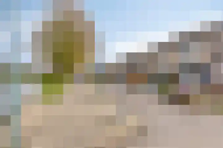 Anjerhof 3 Lopik thumbnail 38