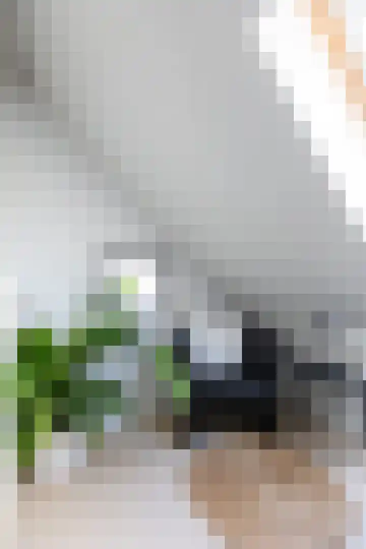 Anjerhof 3 Lopik thumbnail 40