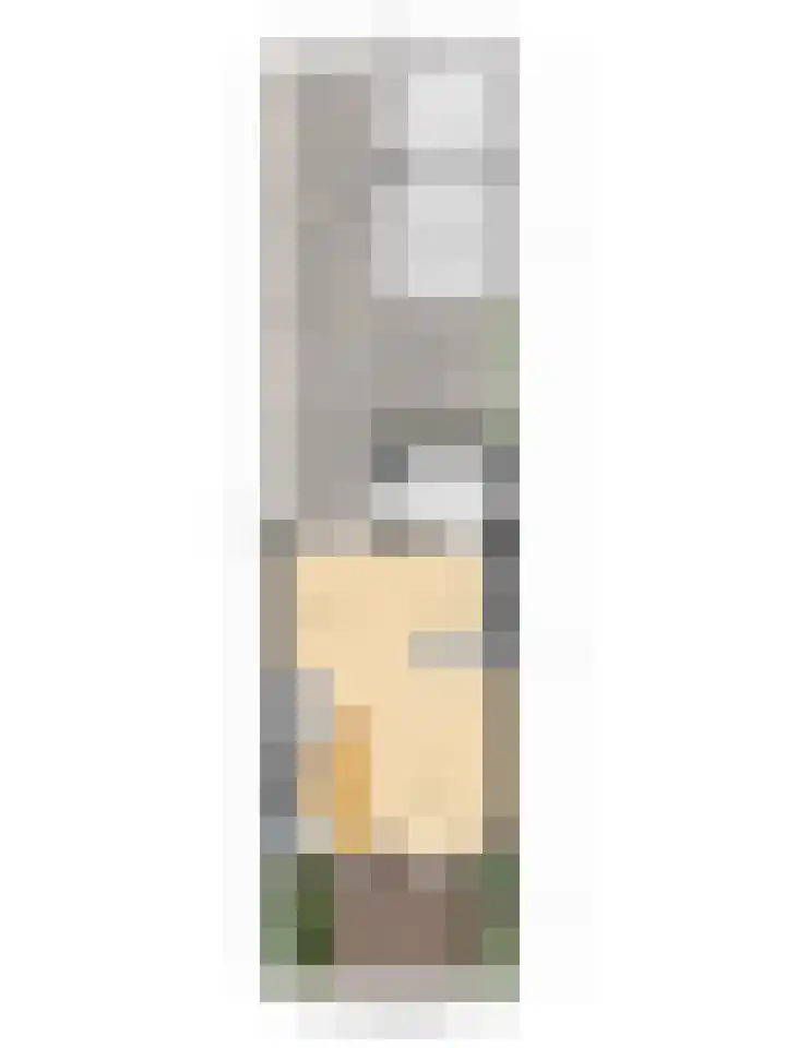 Anjerlaan 55 Almkerk thumbnail 25