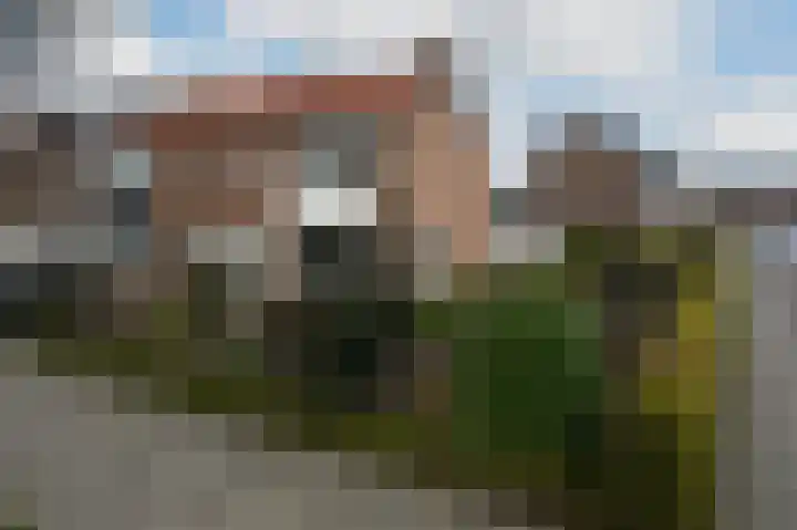 Anjerlaan 6 in De Kwakel