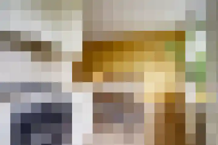 Anjerstraat 1 Putte thumbnail 11