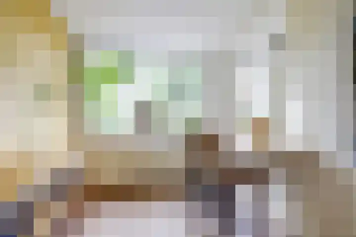 Anjerstraat 1 Putte thumbnail 13