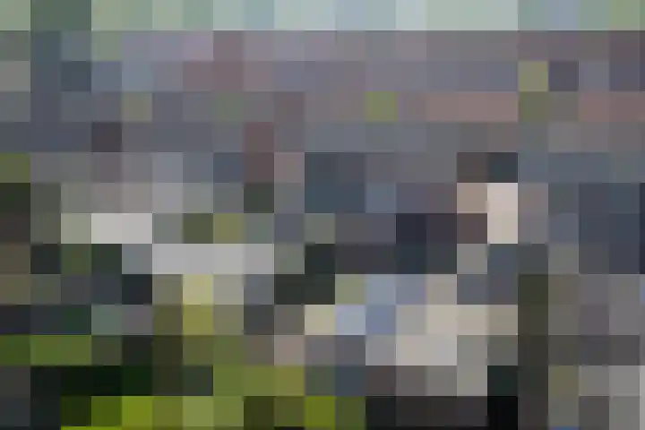 Anjerstraat 12 Raalte thumbnail 33