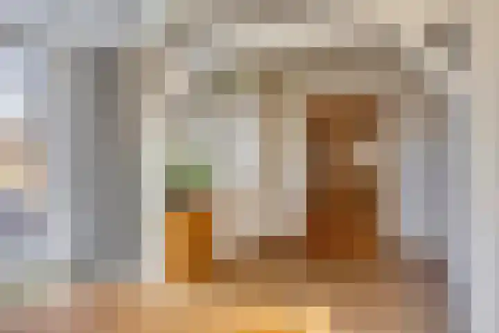 Anjerstraat 12 Raalte thumbnail 7