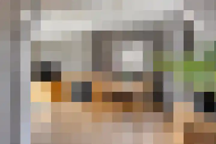 Anjerstraat 12 Raalte thumbnail 9