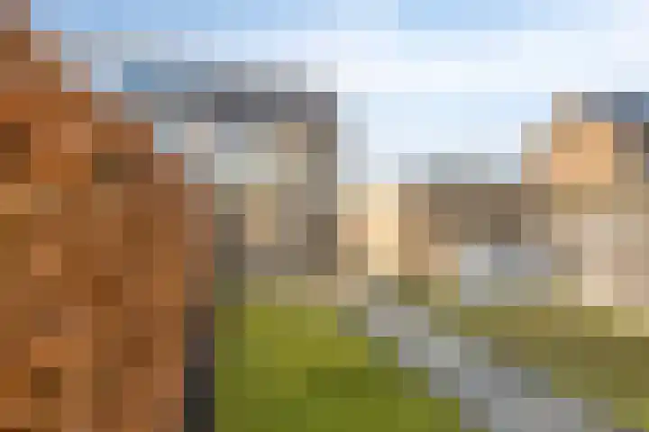 Anjerstraat 29 Goor thumbnail 30