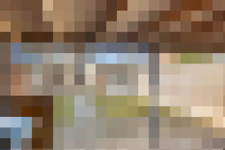 Anjerstraat 29 Goor thumbnail 37