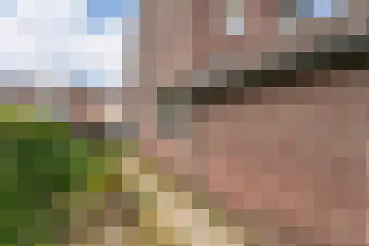 Anjerstraat 3 Schinveld thumbnail 30