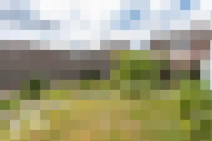 Anjerstraat 3 Schinveld thumbnail 32