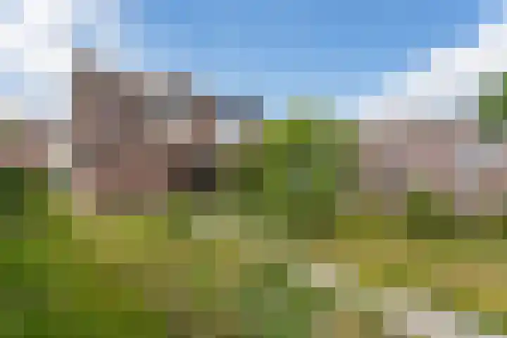 Anjerstraat 3 Schinveld thumbnail 34