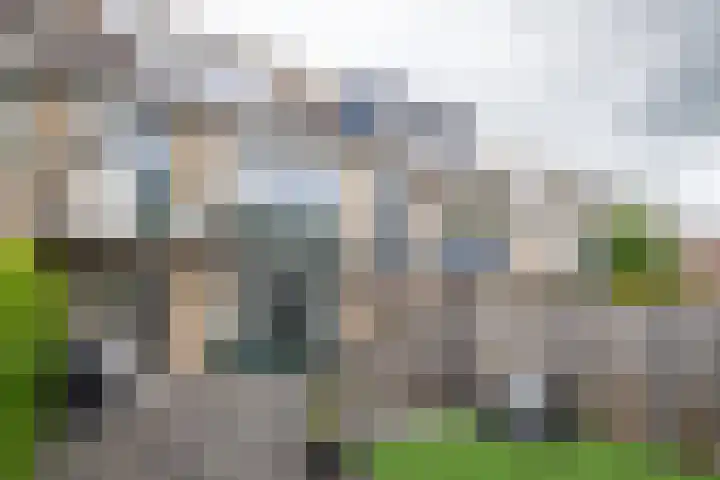 Anjerstraat 39 Ridderkerk thumbnail 11