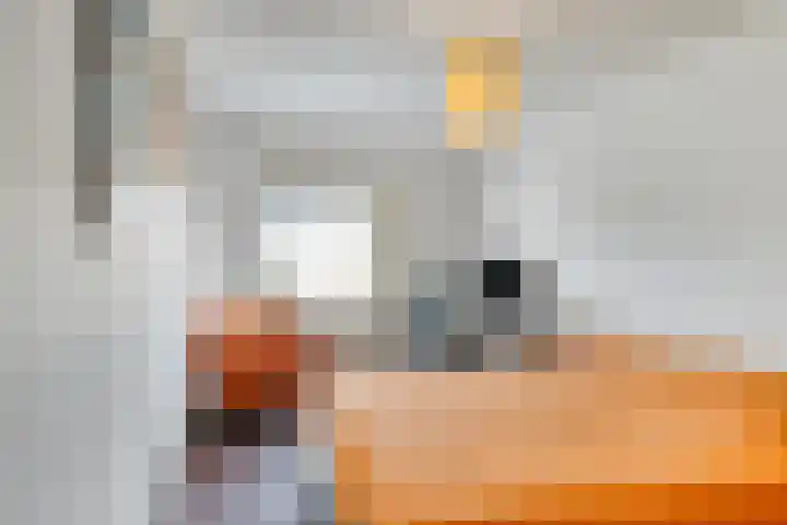 Ank van der Moerstraat 24 Zutphen thumbnail 14