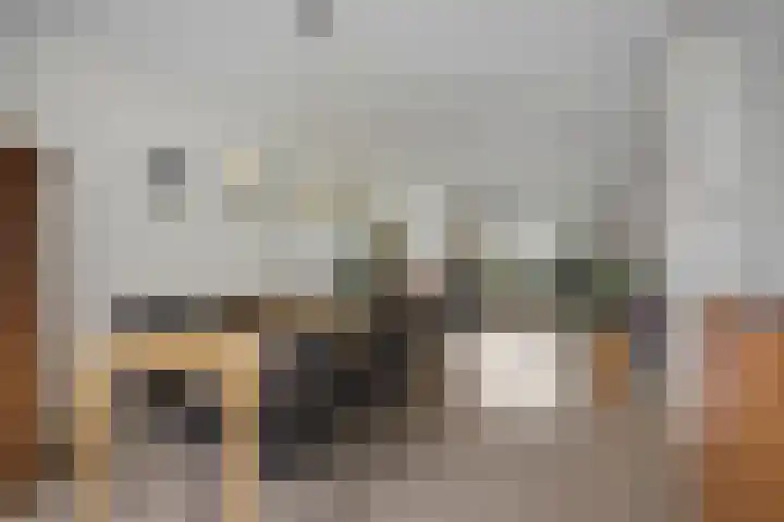 Anke Servaeshof 1 Tilburg thumbnail 22