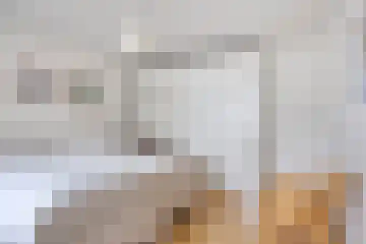 Anke Servaeshof 1 Tilburg thumbnail 32